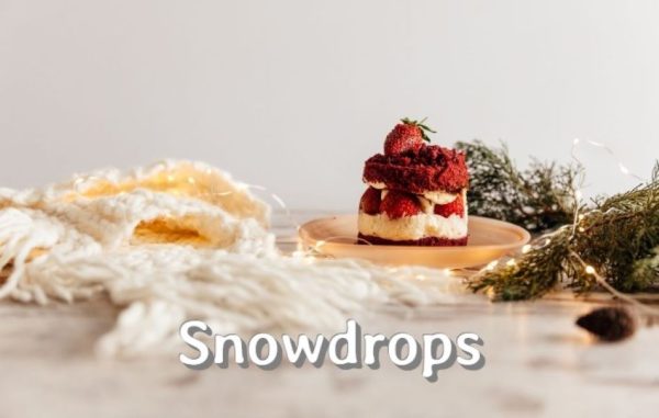 snowdrops – image00
