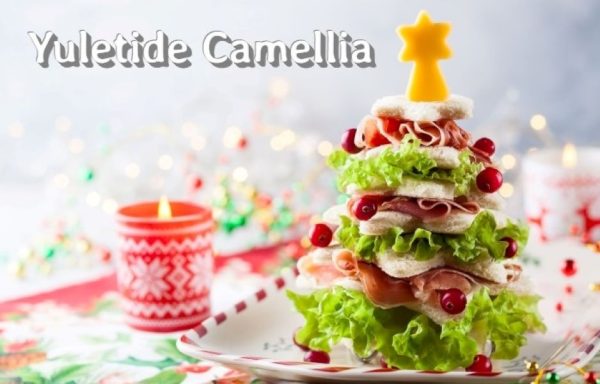 yuletide_camellia – image00